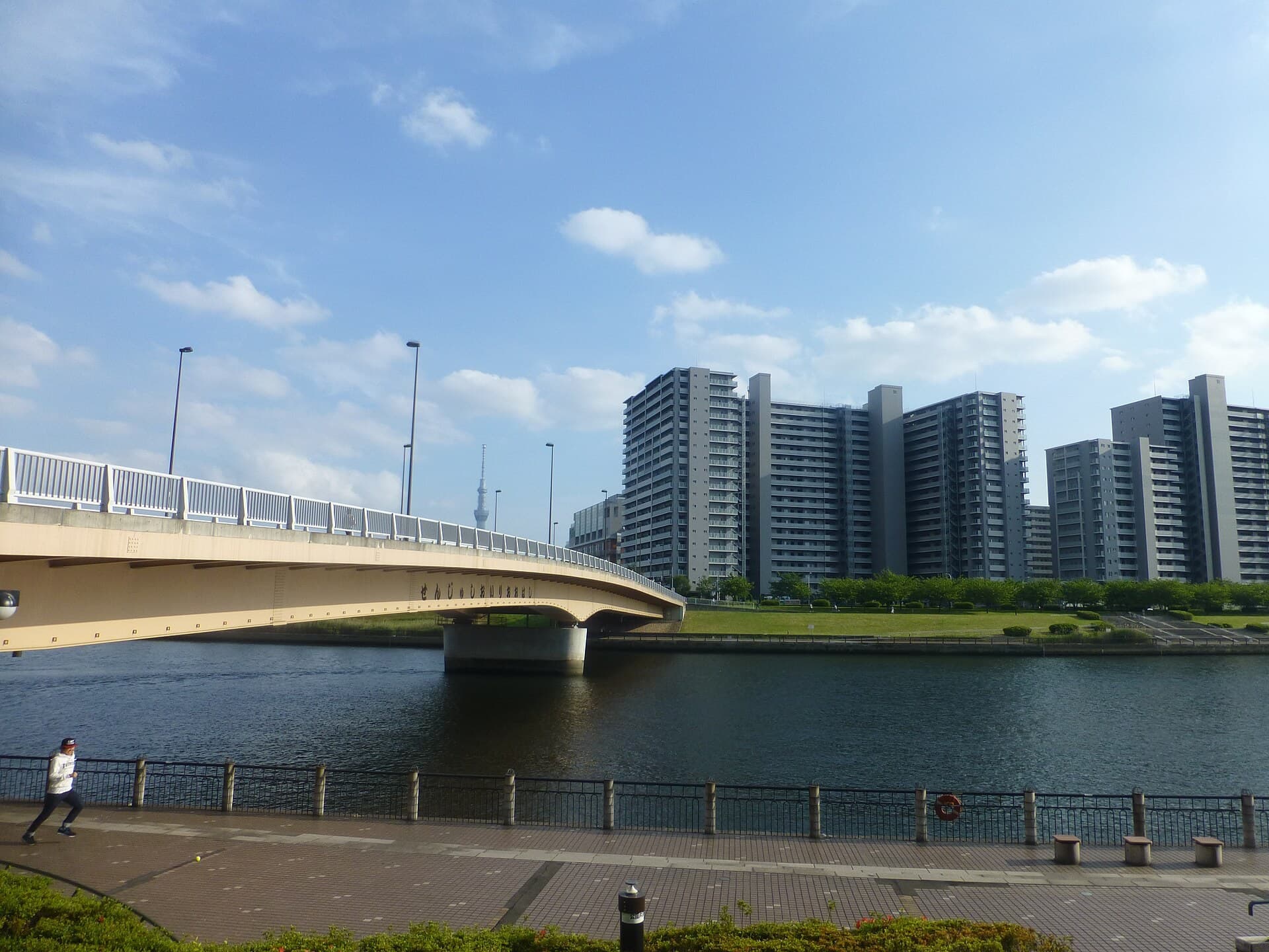 デベロッパーは「値下げしない」一方、二次市場は静かに下落――千住大橋42階タワーの二重価格